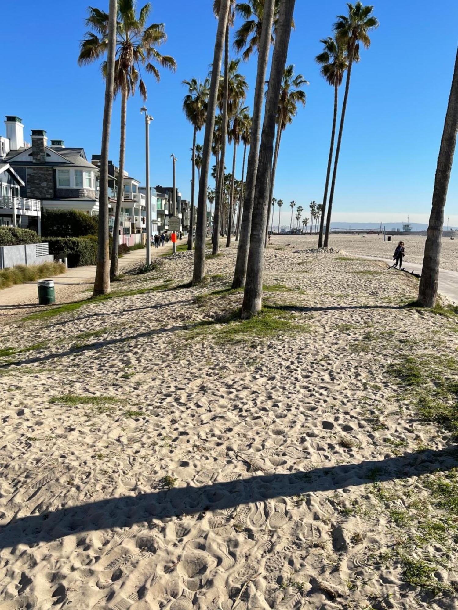 House On The Beach Los Angeles Extérieur photo
